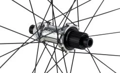 Newmen Evolution SL E.G.30 29" Boost Shimano MicroSpline Laufradsatz -Fahrradladen Newmen Evolution SL E G 30 90742 3